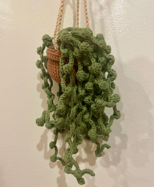 String of Pearls (Pattern only)