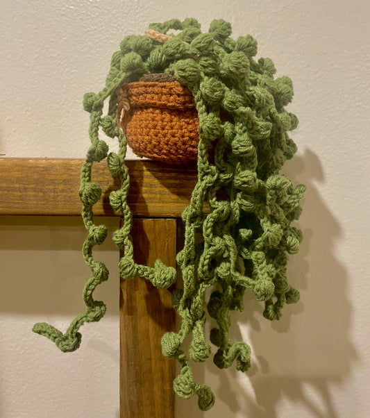 String of Pearls (Pattern only)
